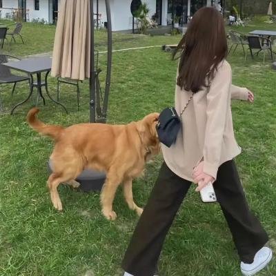 案中案